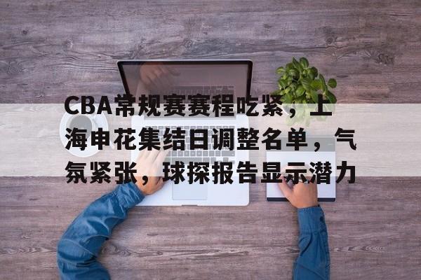 关于CBA常规赛赛程吃紧，上海申花集结日调整名单，气氛紧张，球探报告显示潜力的信息-开云官方入口